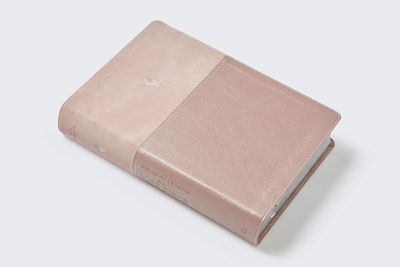 Biblia de estudio de la vida plena RVR60, Edición clásica, Leathersoft dos tonos Oro rosa, Comfort Print (Free Shipping)