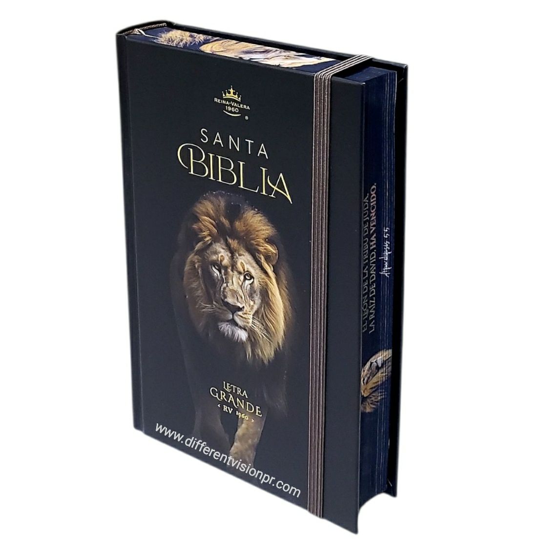 Biblia RVR60 Tamaño manual Letra Grande Tapa dura con elástico: León de Judá (Free Shipping)
