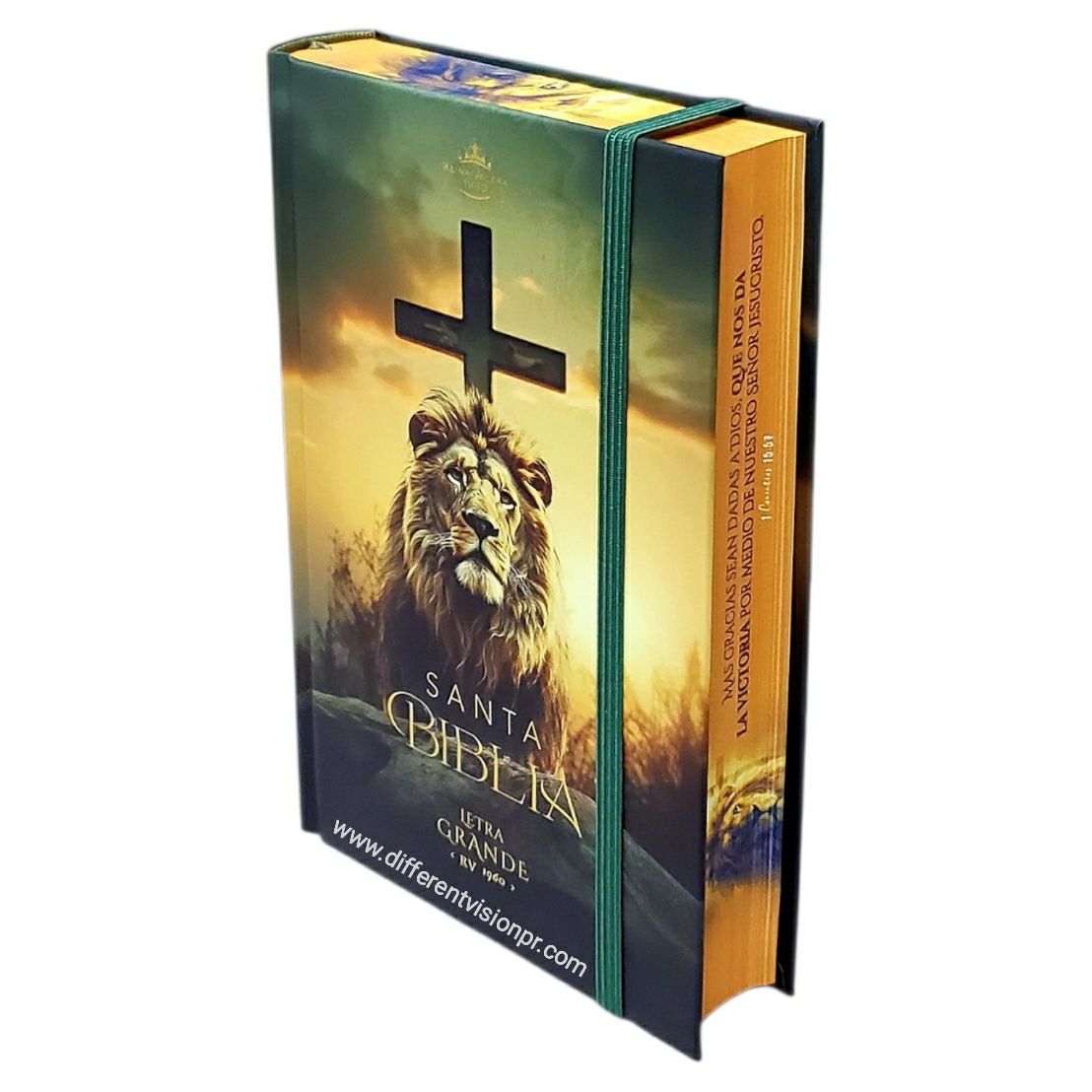 Biblia RVR60 Tamaño manual Letra Grande Tapa dura con elástico: León y Cruz (Free Shipping)