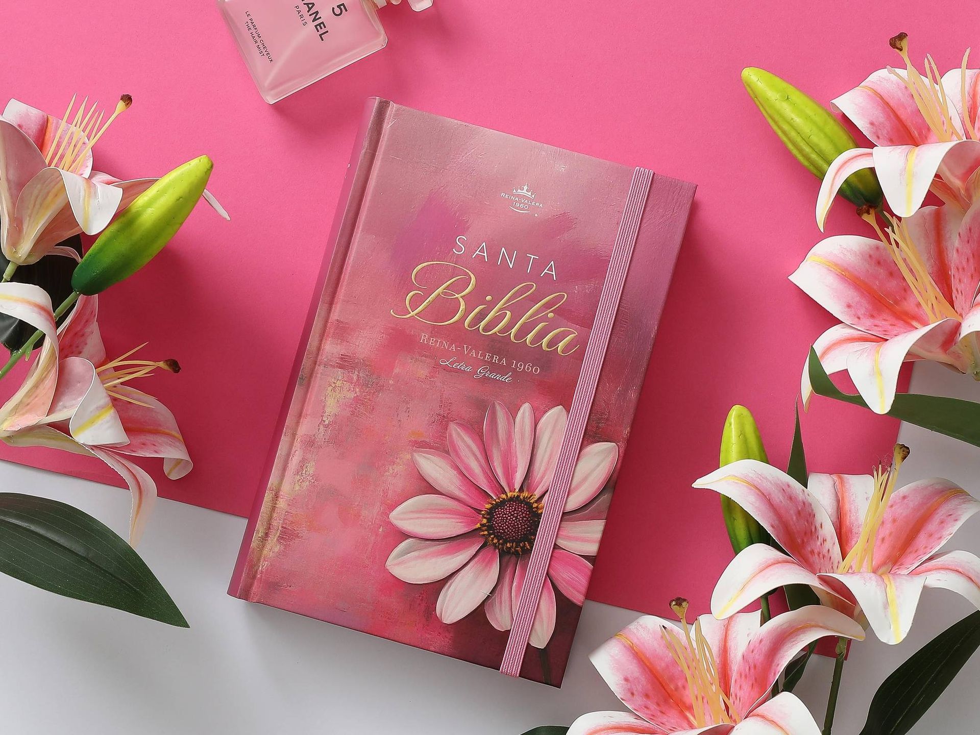 Biblia RVR60 Tamaño manual Letra Grande Tapa dura con elástico: Primavera Rosa (Free Shipping)