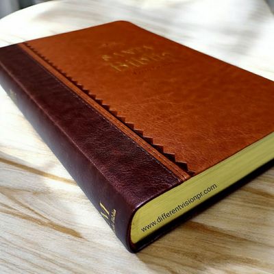 Biblia RVR 1960 de Letra Grande, imit piel Café (Free Shipping)