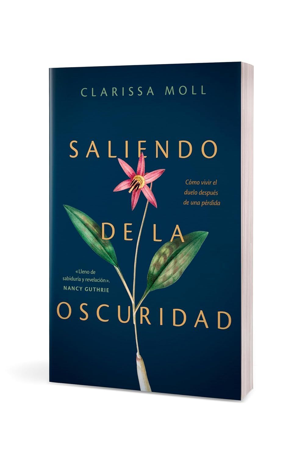 Saliendo de la oscuridad: Cómo vivir el duelo después de una pérdida (Free Shipping)