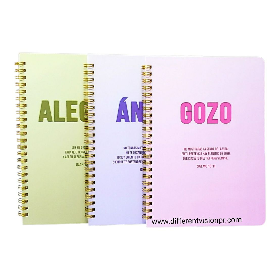 Pack de 3 libretas Ánimo