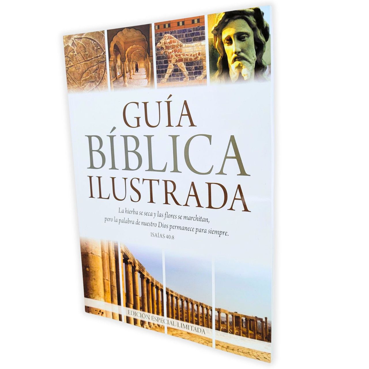 Guía bíblica ilustrada - Edición especial limitada