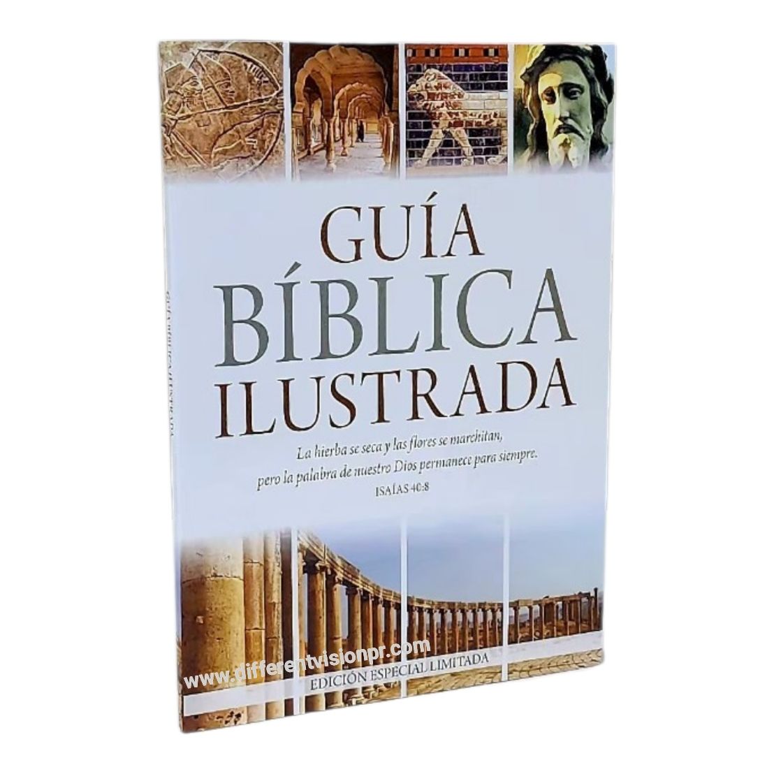 Guía bíblica ilustrada - Edición especial limitada