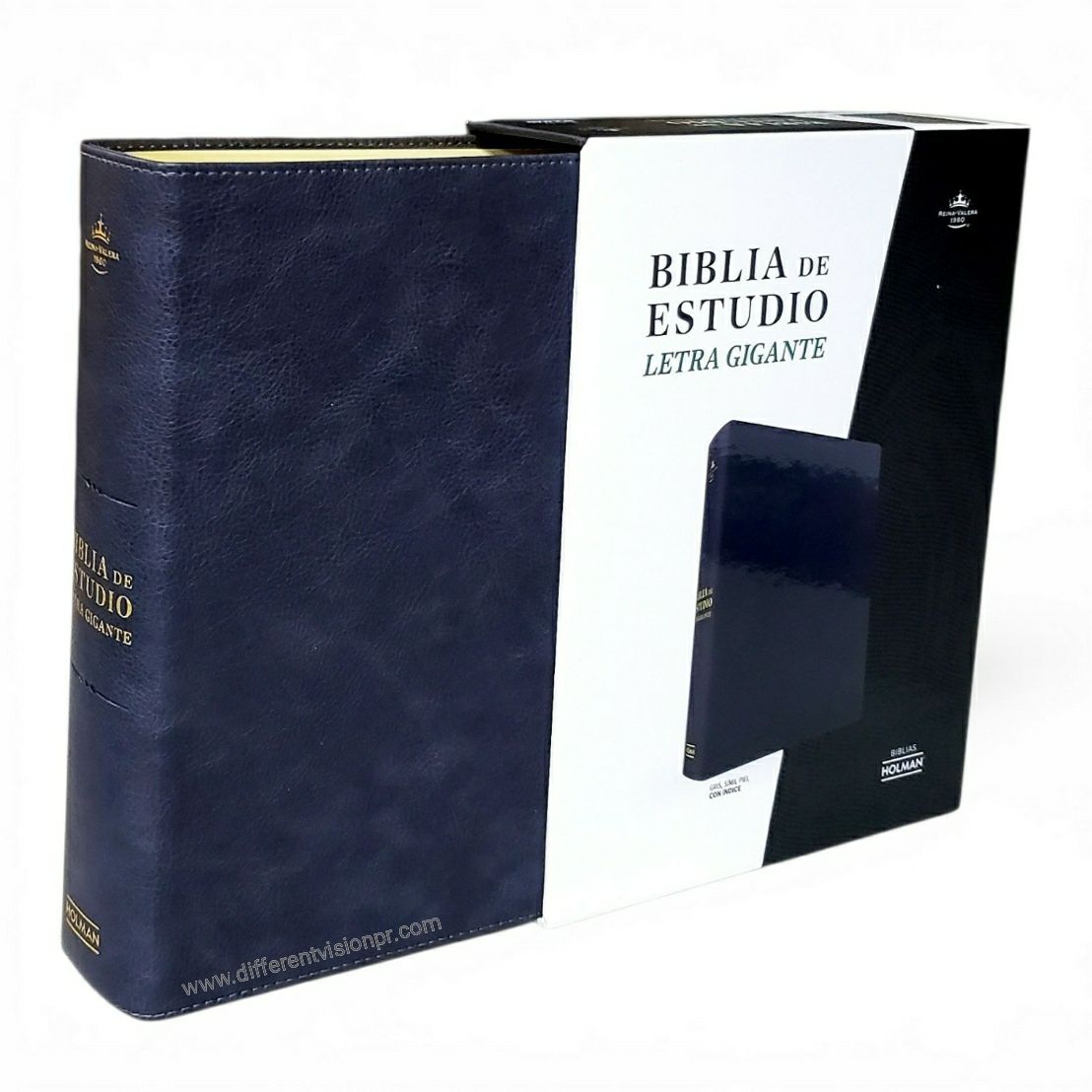 RVR 1960 Biblia de estudio de letra gigante, negro, símil piel (Free Shipping)