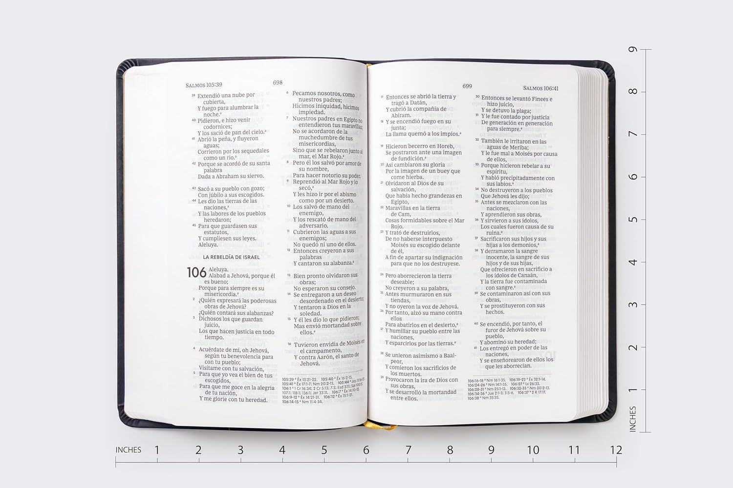 Biblia RVR60, Letra grande, Leathersoft, Negro (Free Shipping)