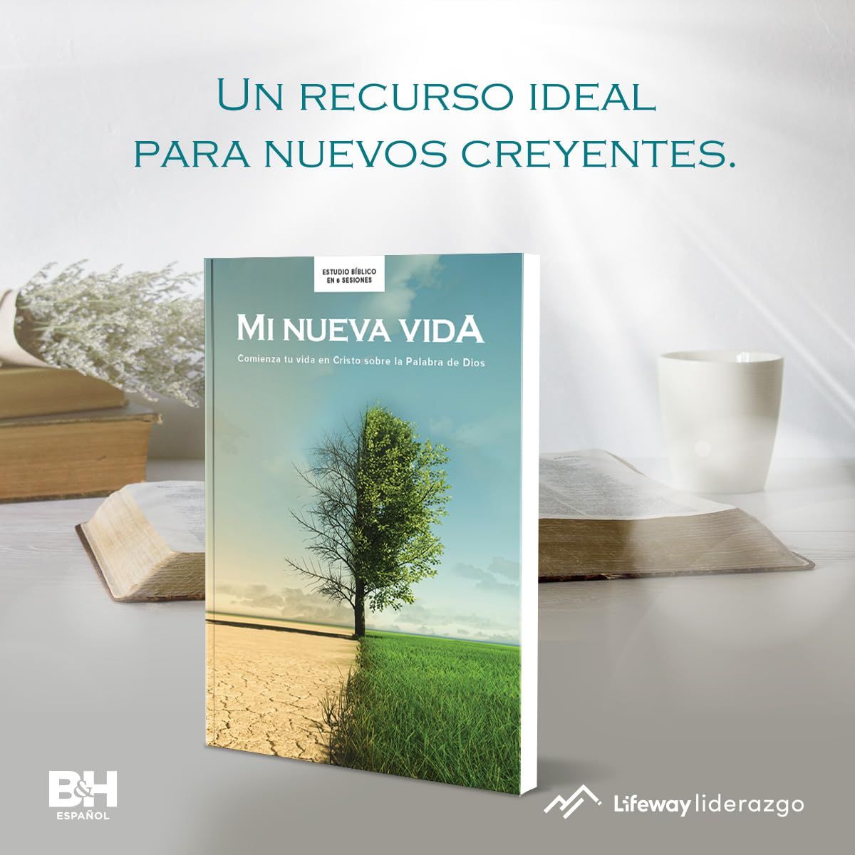Mi nueva vida - Estudio bíblico