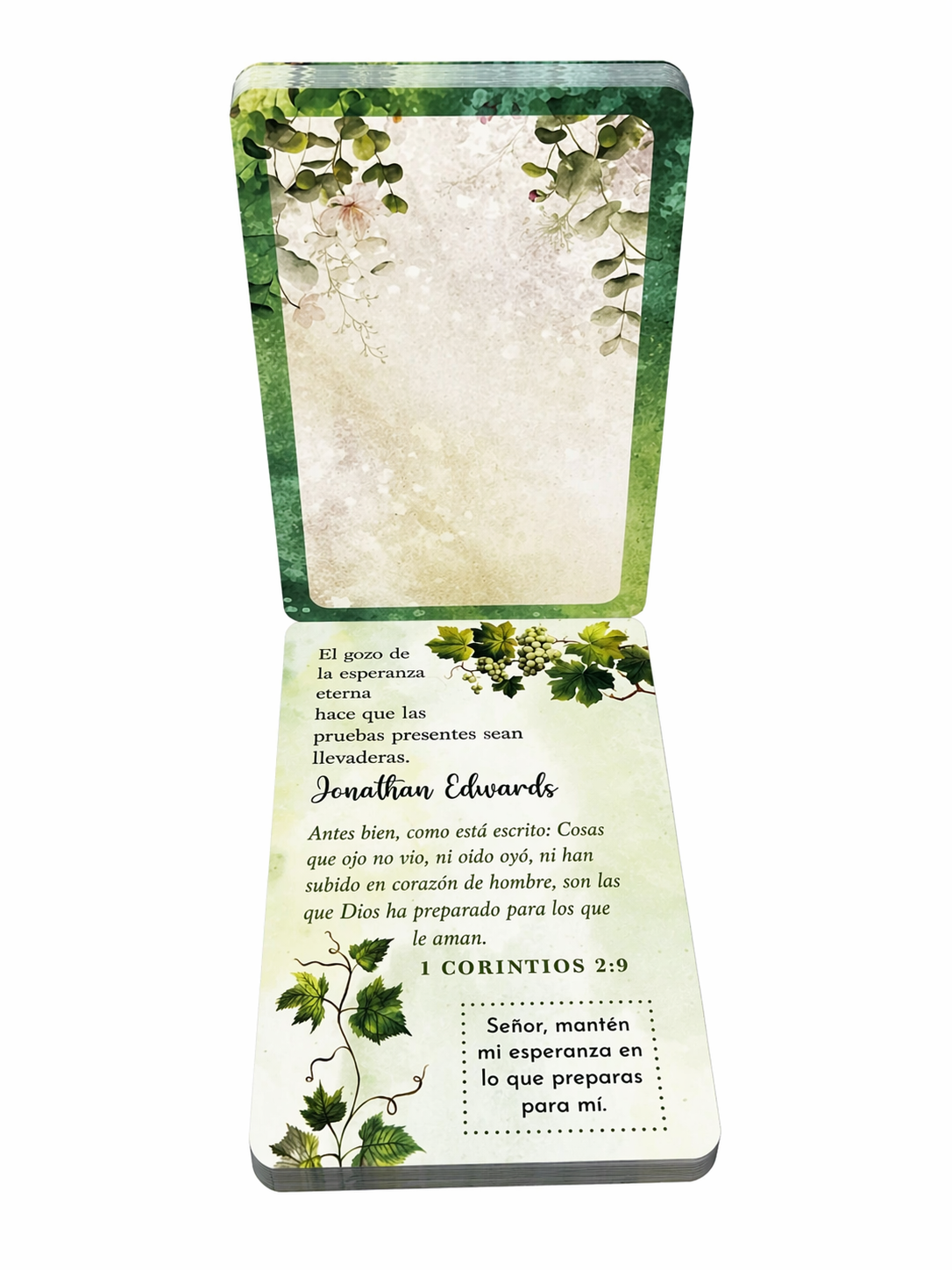 100 Meditaciones de Esperanza
