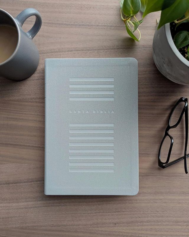Biblia valor prémium NTV, letra grande con Filament, SentiPiel, Gris (FreeShipping)