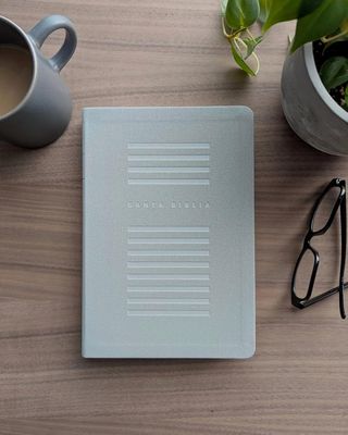 Biblia valor prémium NTV, letra grande con Filament, SentiPiel, Gris (FreeShipping)