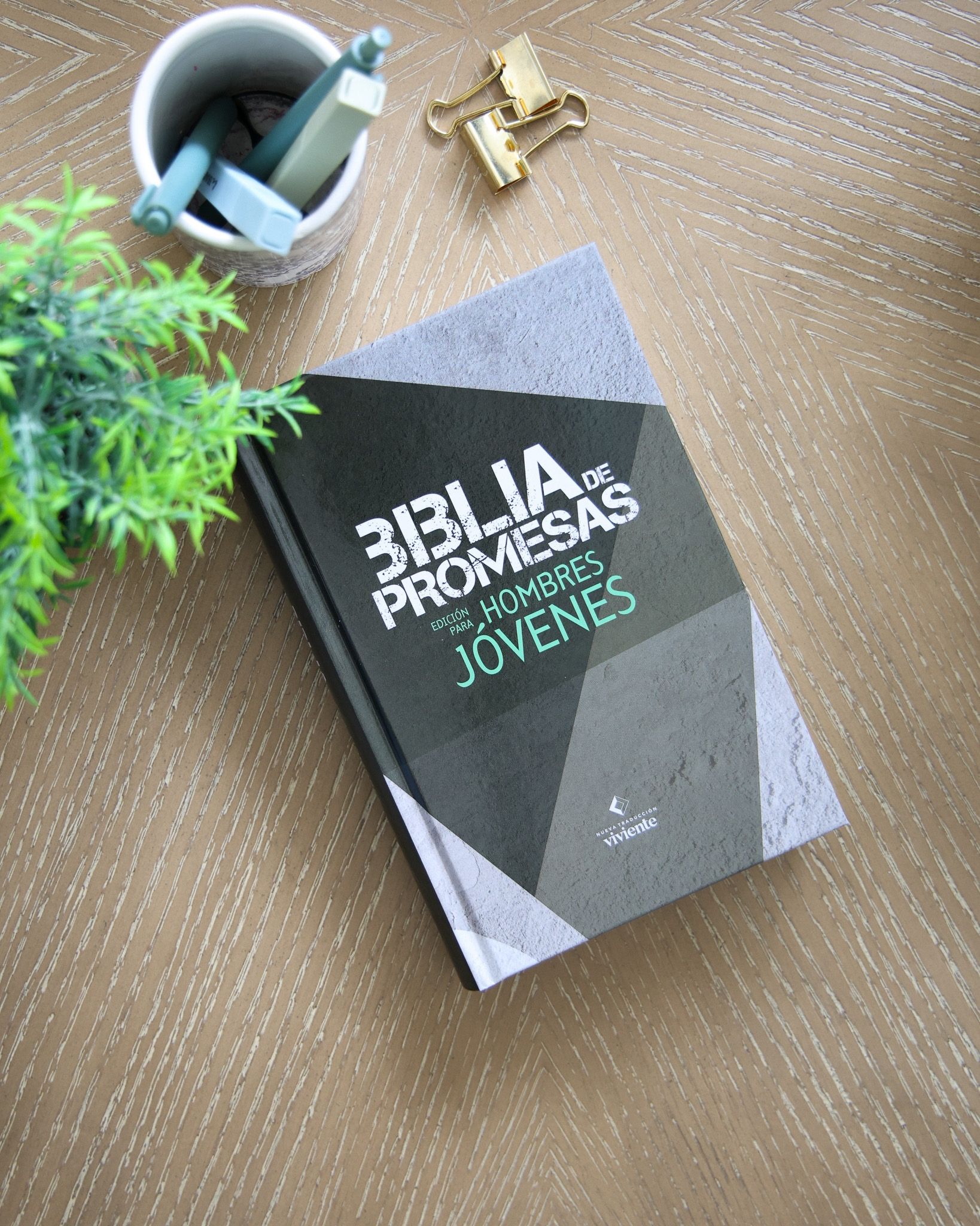 Biblia de Promesas Edición para hombres, NTV, Tamaño manual, Tapa dura (Free Shipping)
