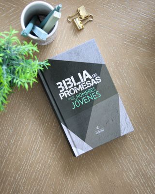 Biblia de Promesas Edición para hombres, NTV, Tamaño manual, Tapa dura (Free Shipping)