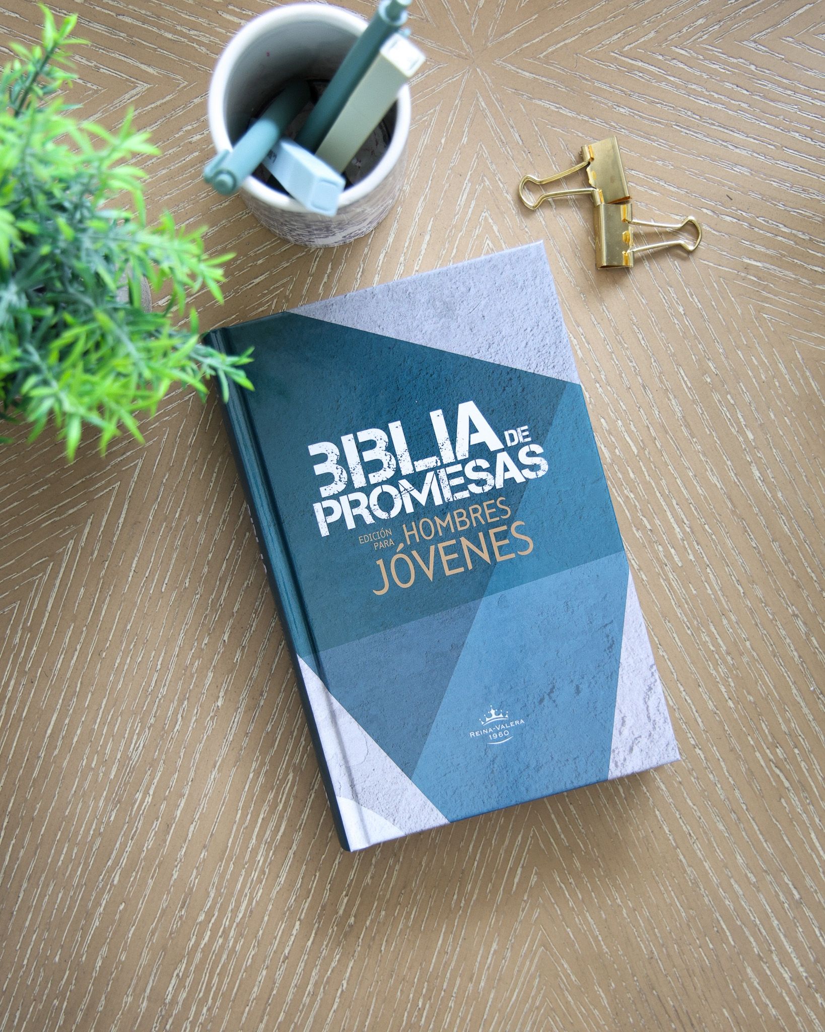 Biblia de Promesas Edición para hombres, RVR60, Tamaño manual, Tapa dura (Free Shipping)