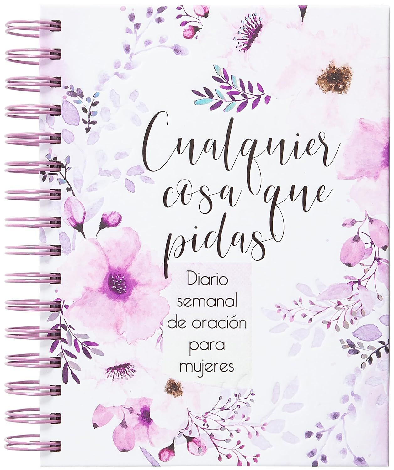 Cualquier cosa que pidas: Diario de oración semanal para mujeres (Free Shipping)