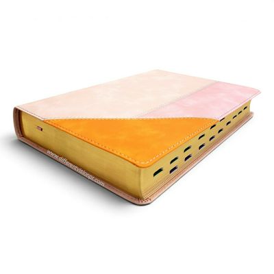 RVR 1960 Biblia de Estudio Arcoíris, rosa cuarzo, símil piel con índice (Free Shipping)