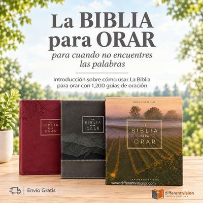 La Biblia RV60 para orar, Leathersoft, Gris (Free Shipping)
