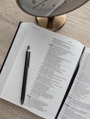 Biblia NTV de margen amplio Tapa dura Cruz (Free Shipping)