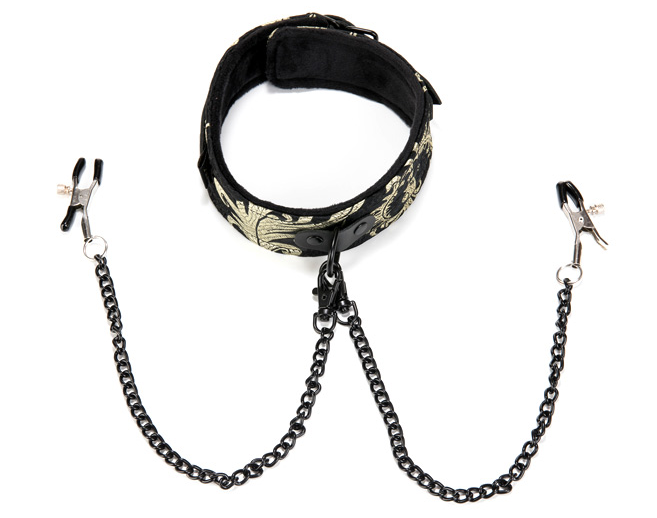 Captive Desire - Collar &amp; Clamps