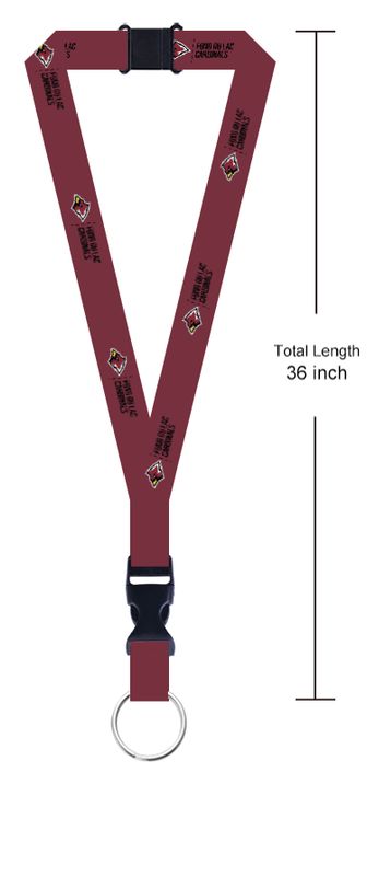 Lanyard