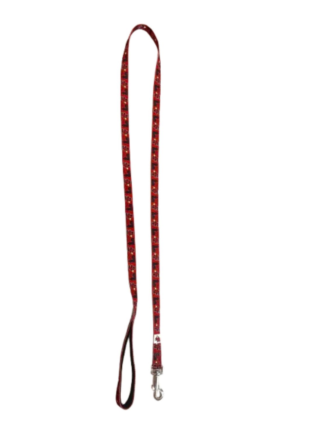 Dog Leash