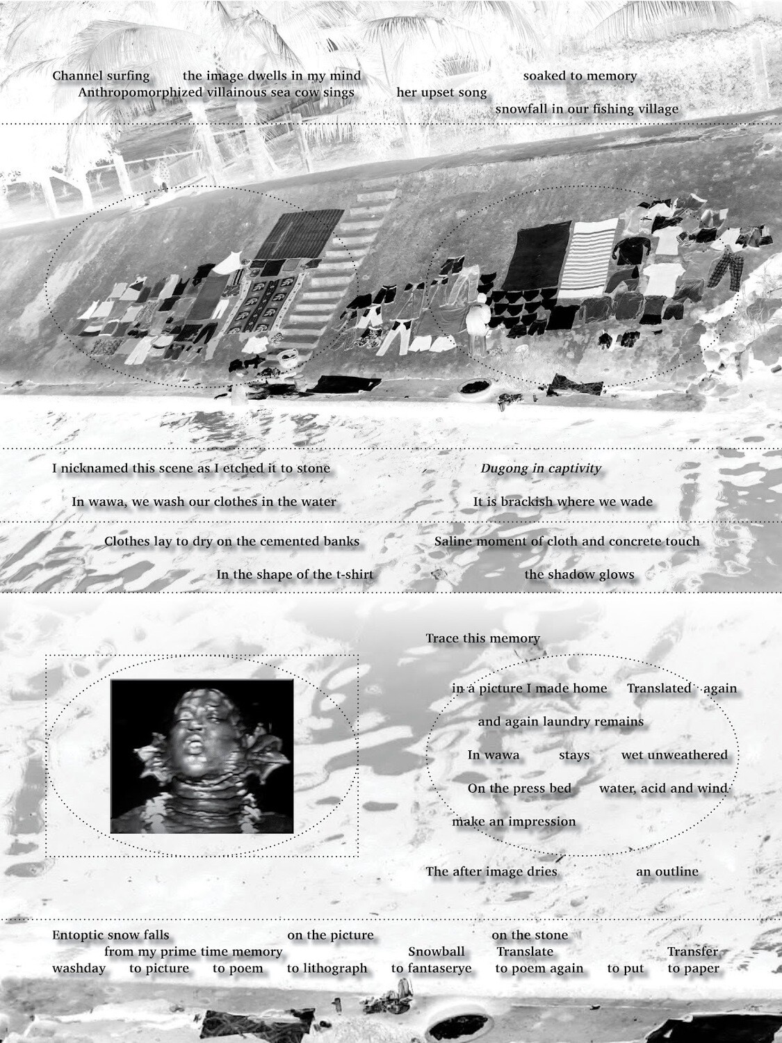 Christian Vistan: Dugong in Captivity