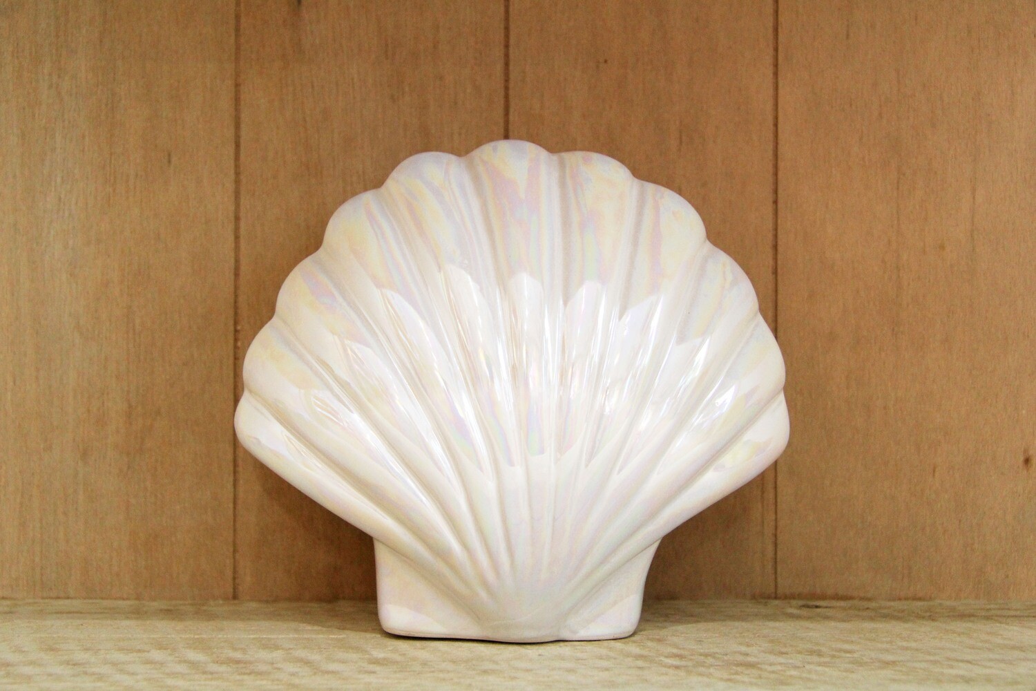 Ceramic shell money box