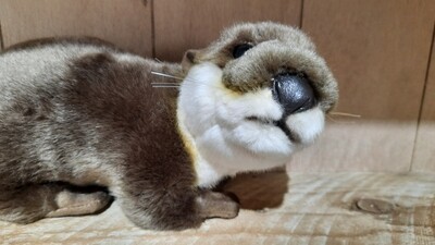 Otter soft toy