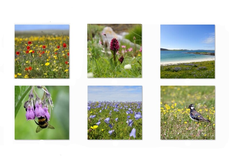 floral greetings card pack (mixed)