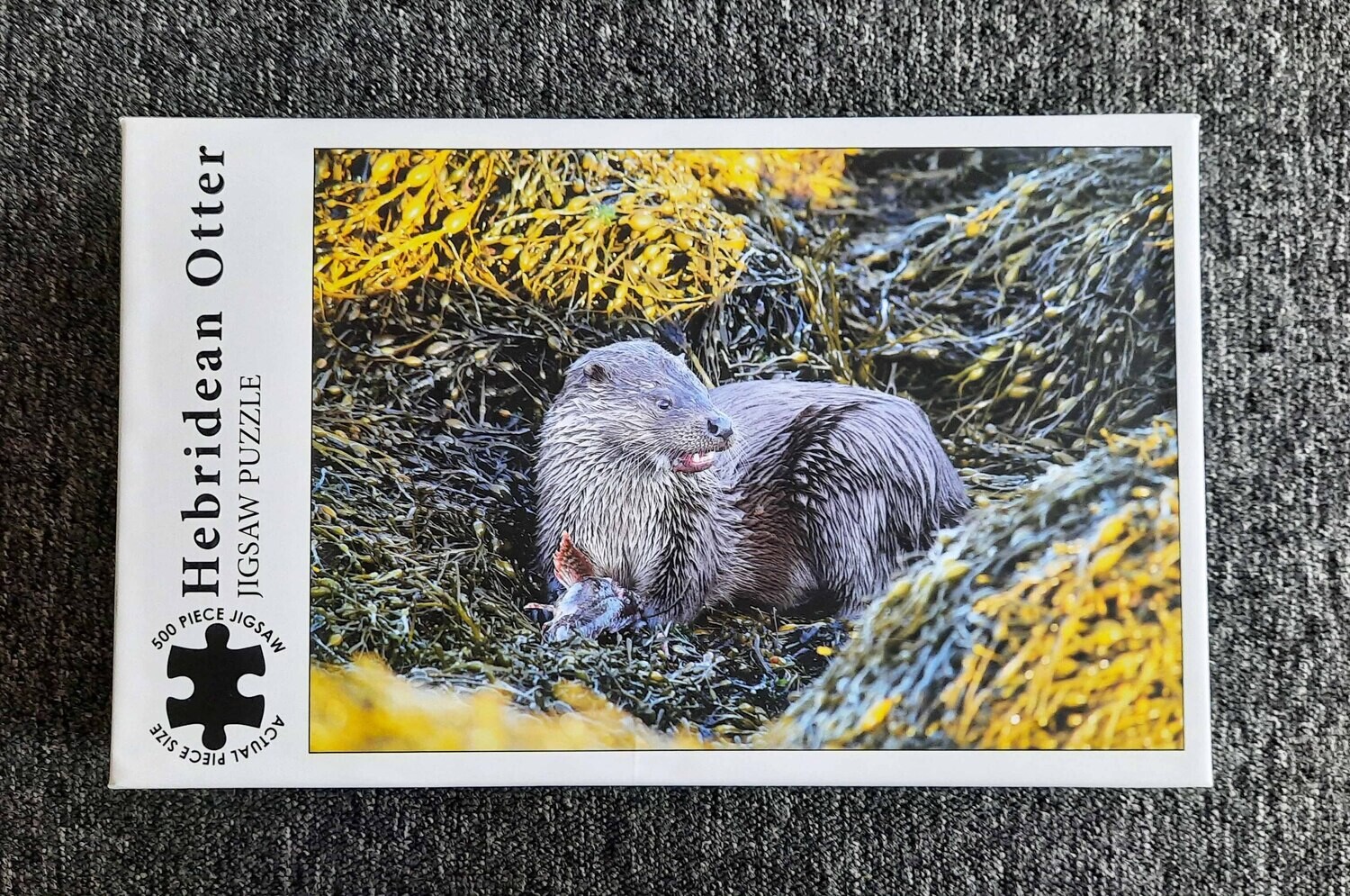Jigsaw - Hebridean Otter