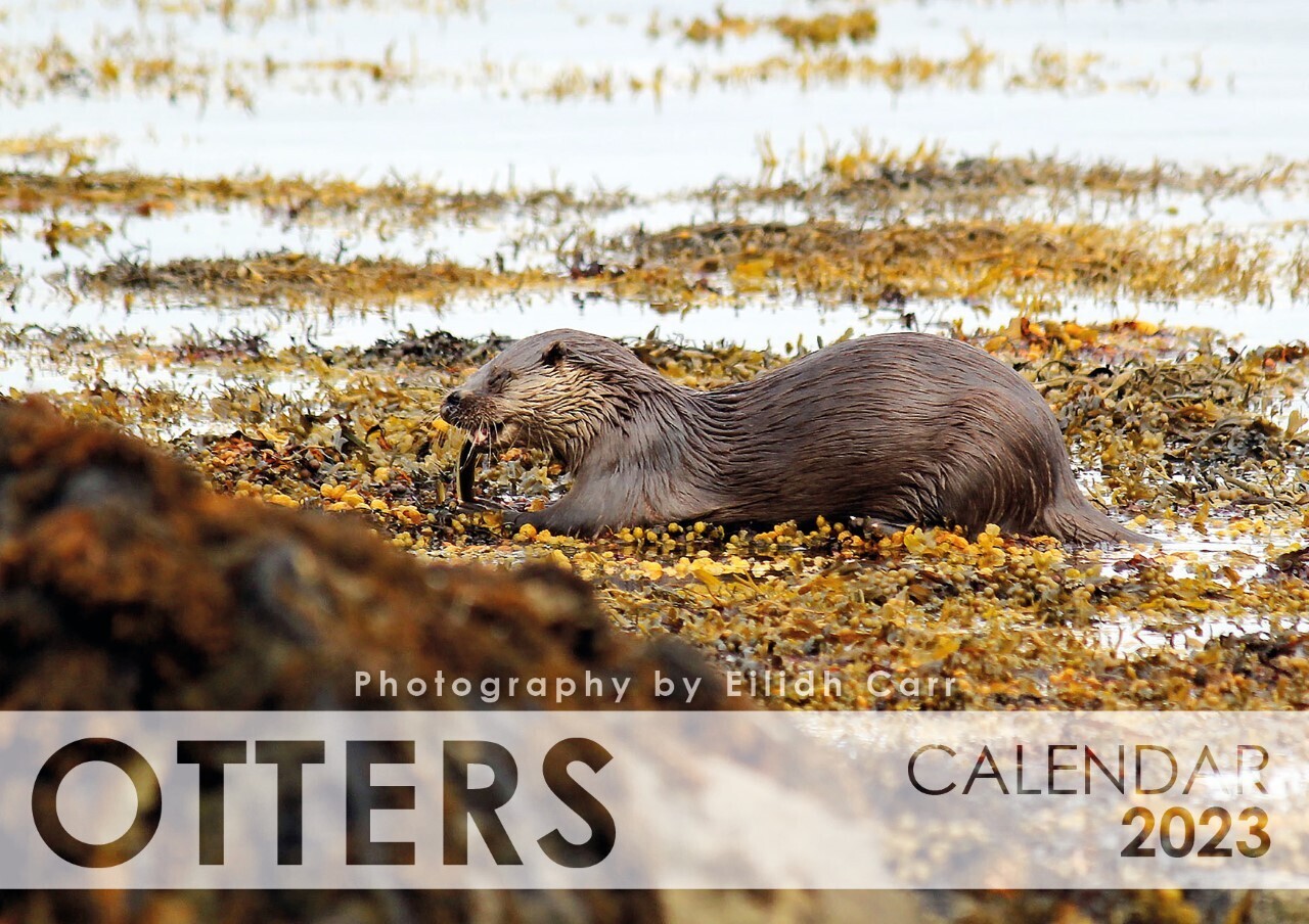 2023 Otter calendar