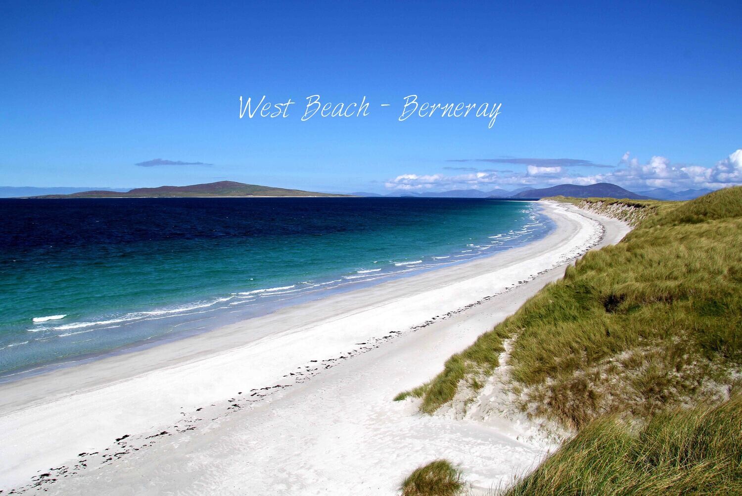 West beach tea towel