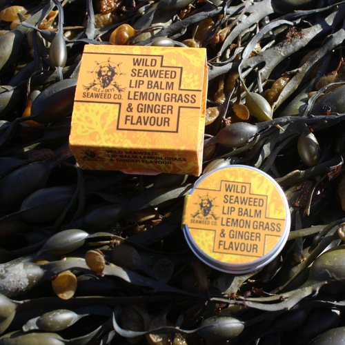wild seaweed - lemon grass &amp; ginger lip balm