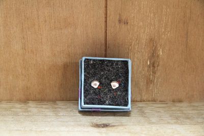 clam shell earrings