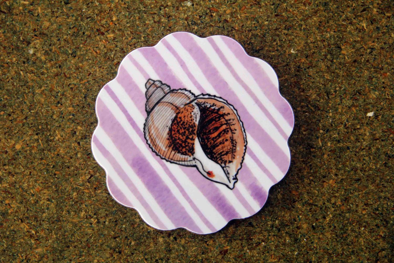 whelk coaster