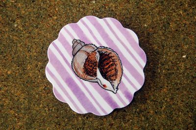 whelk coaster