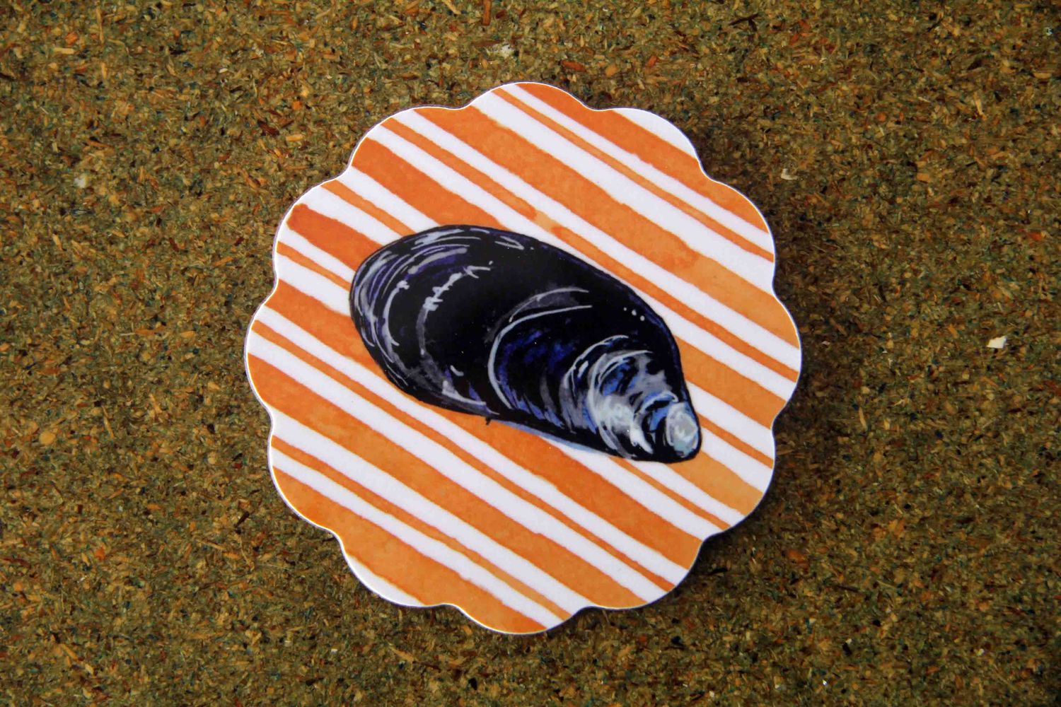 mussel coaster