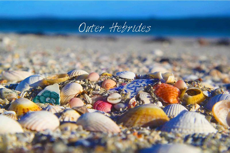 beach treasure tea towel