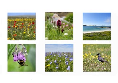 floral greetings card pack (mixed)