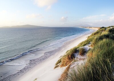 West beach jigsaw