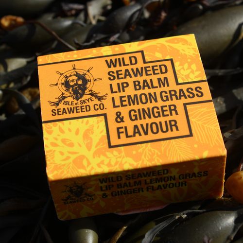 wild seaweed - lemon grass &amp; ginger lip balm