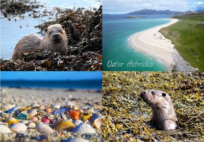 Outer Hebrides jigsaw (C)
