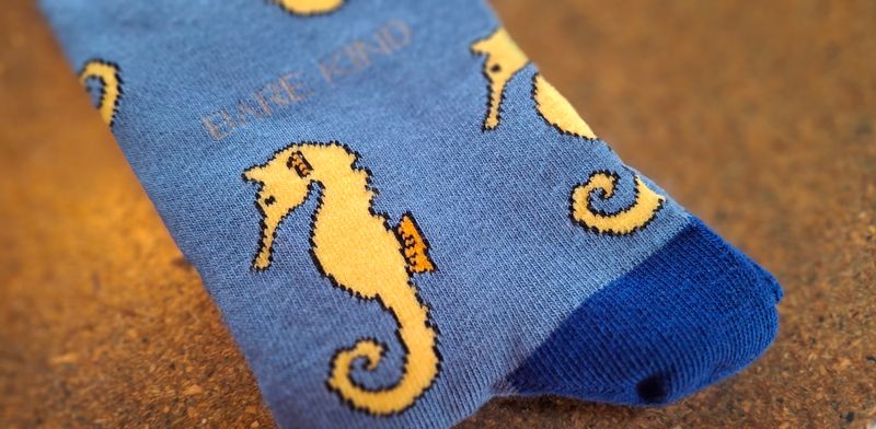 seahorse bamboo socks