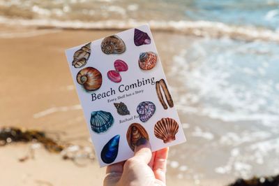 beach combing pocket guide