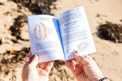 beach combing pocket guide