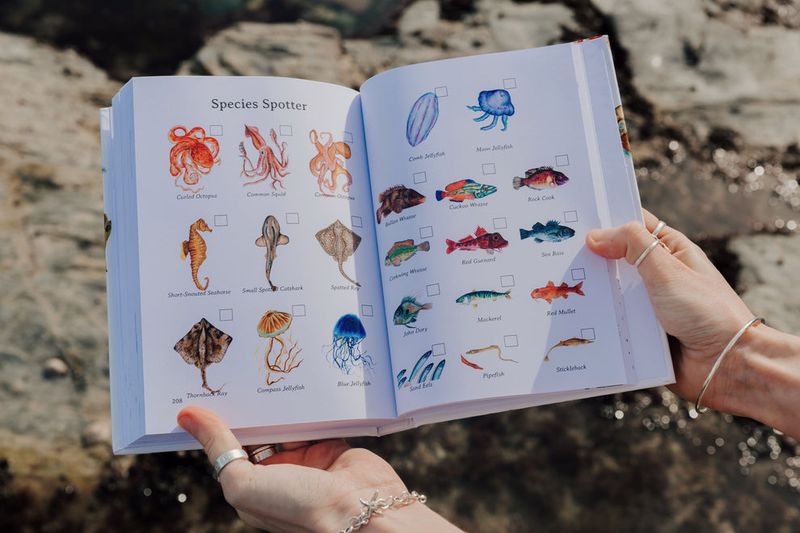 the ocean lover's travel guide