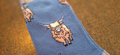 Highland cow bamboo socks