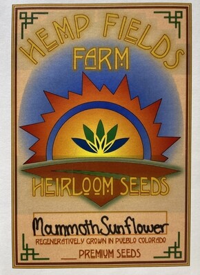 Mammoth Sunflower