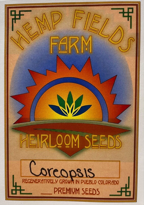 Coreopsis