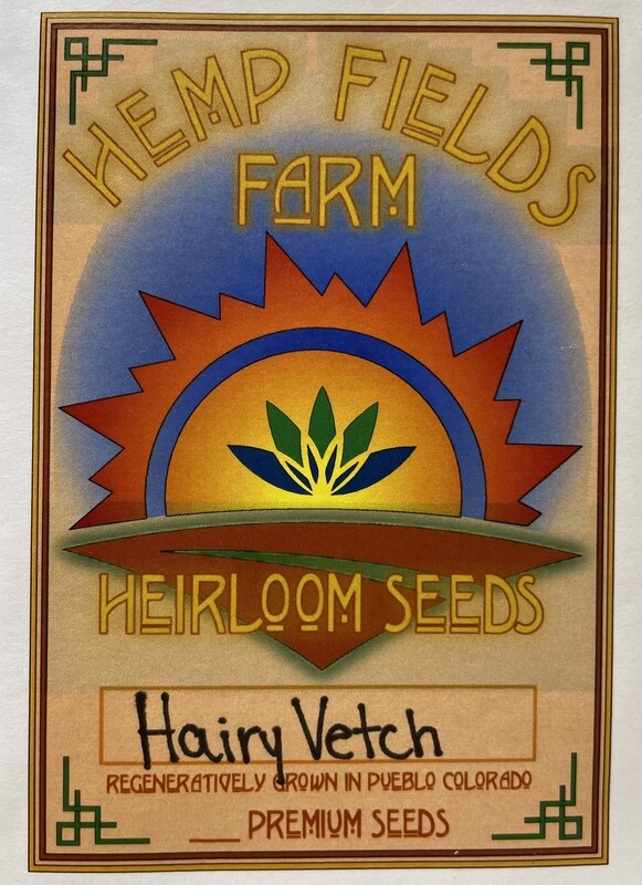 Hairy Vetch